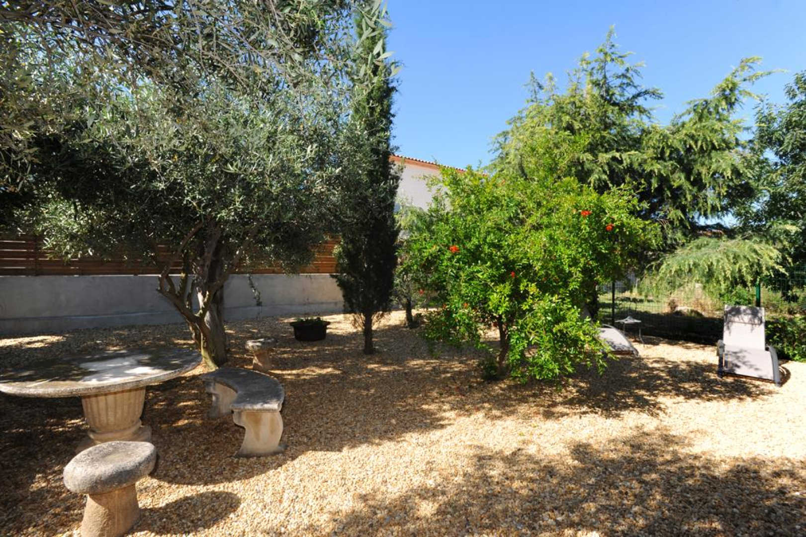 AL RAPAROU - photo 5