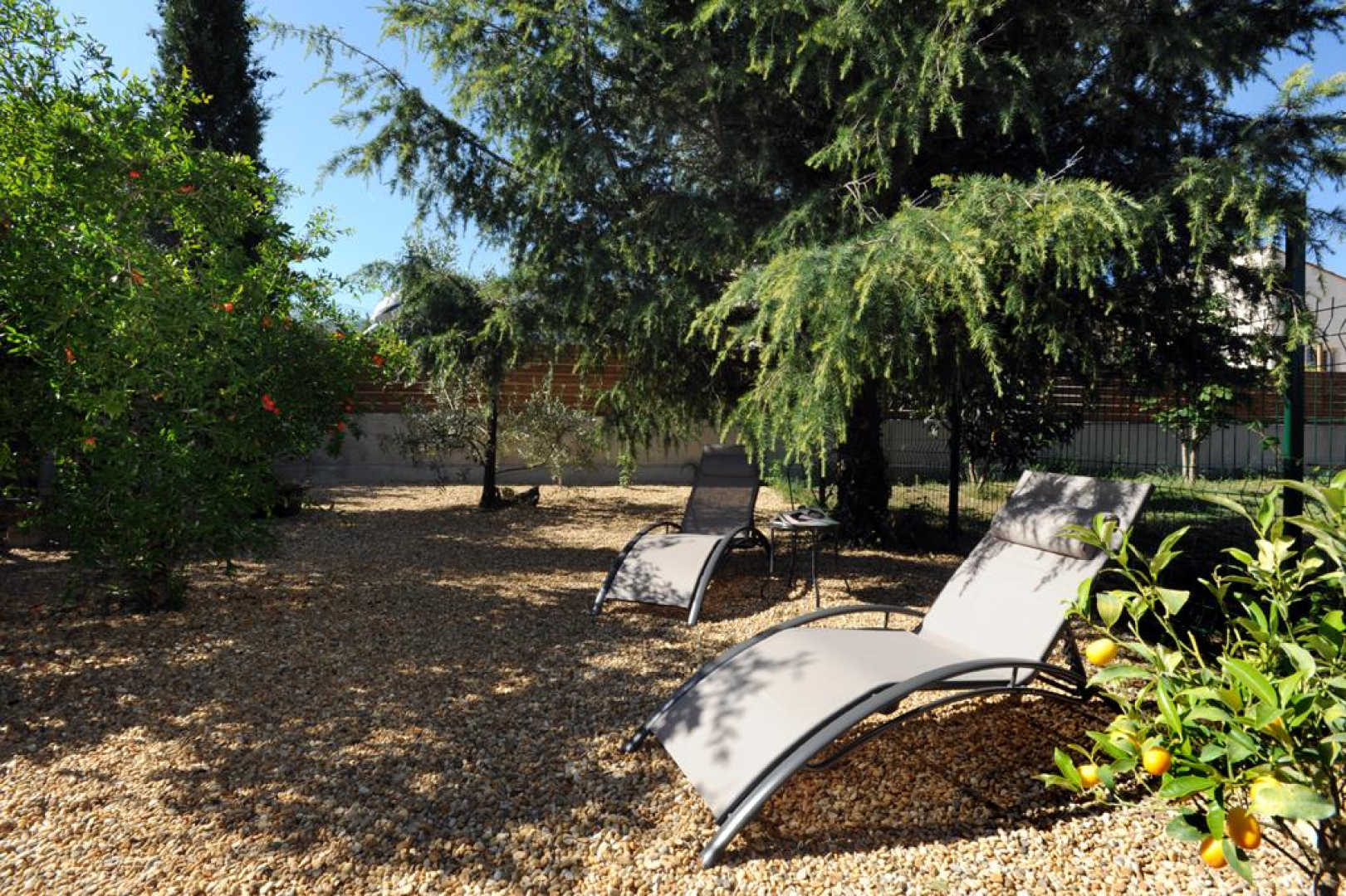 AL RAPAROU, Villelongue-dels-Monts - photo 26