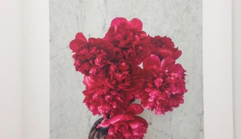 Mas Saint Michel_37 Mas Saint Michel_37