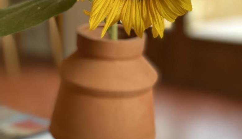 Mas Saint Michel_18 Mas Saint Michel_18