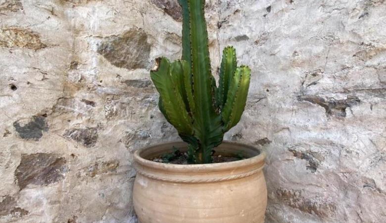 Mas Saint Michel_28 Mas Saint Michel_28