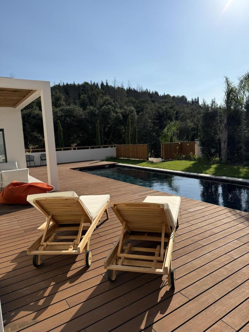 66G123313 1ad442ce0e004ab281f52e4ddc624621