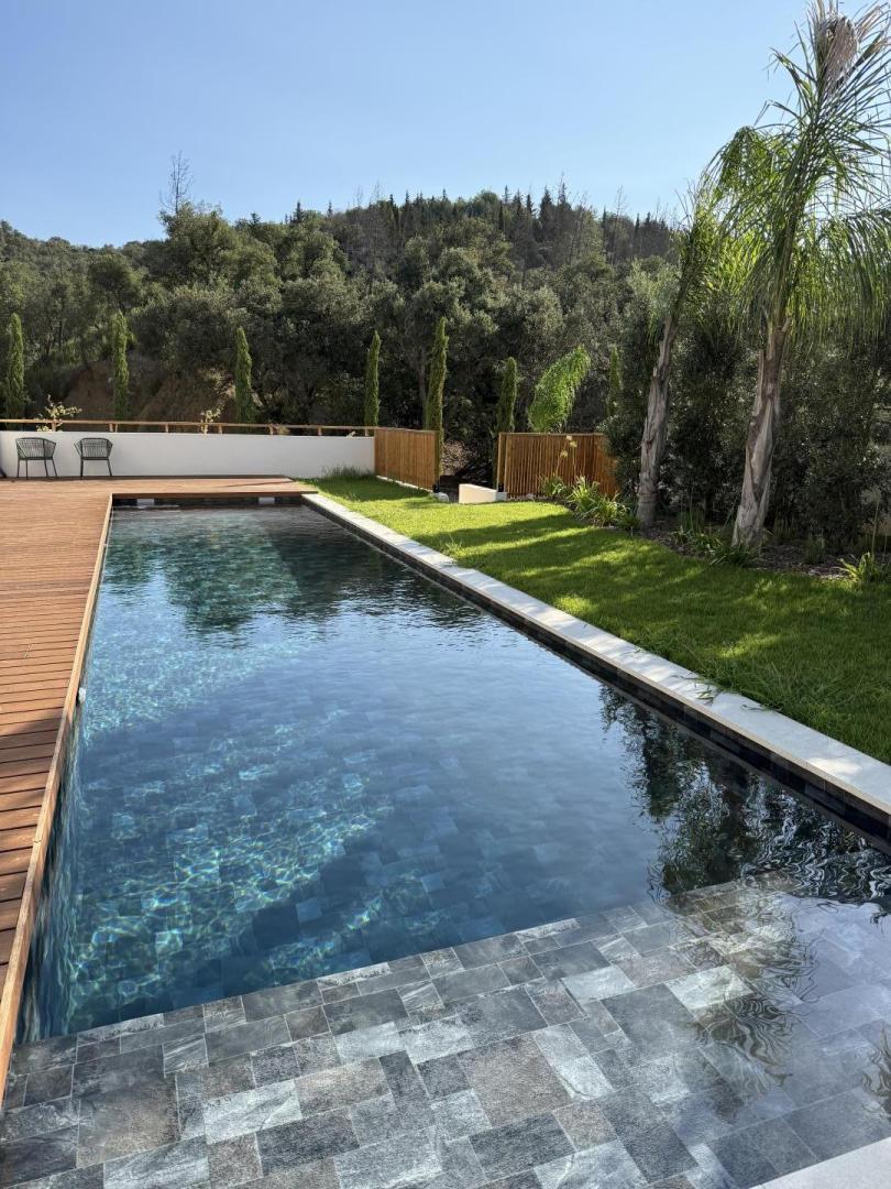 66G123313 91e1a666d4ed4d9bb3dd412622543d58