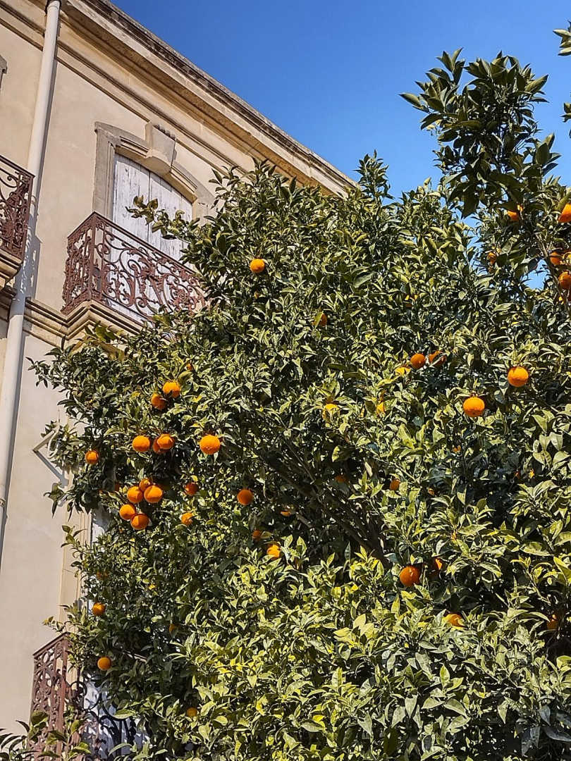 LA MAISON BACHELET, Claira - photo 49