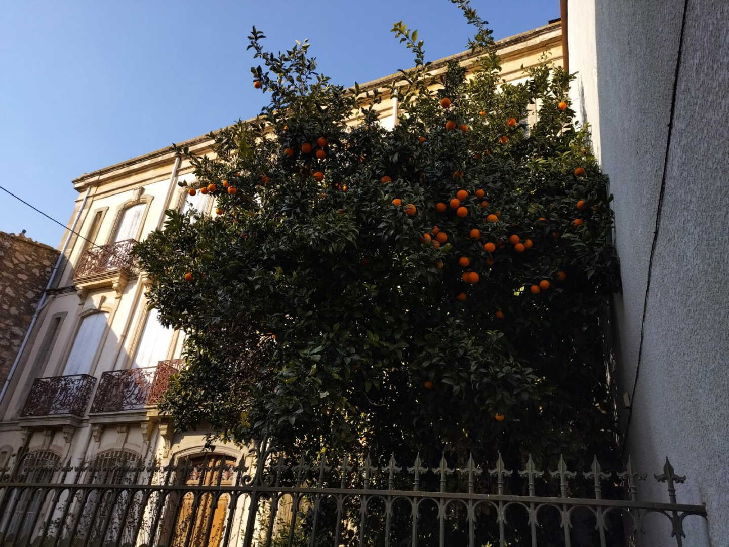 LA MAISON BACHELET, Claira - photo 15