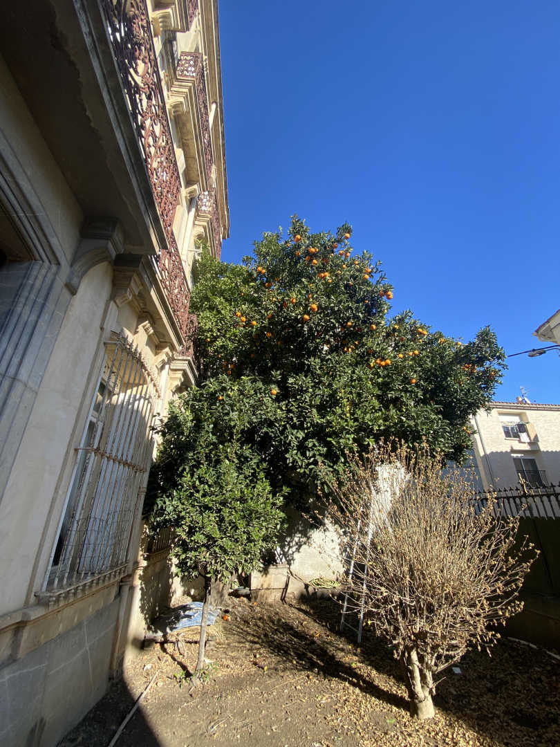 LA MAISON BACHELET, Claira - photo 14