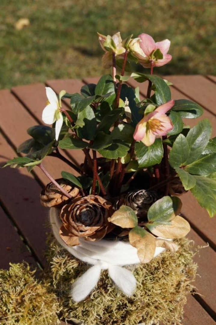 Les chambres du mas rondole_20-Gites de France