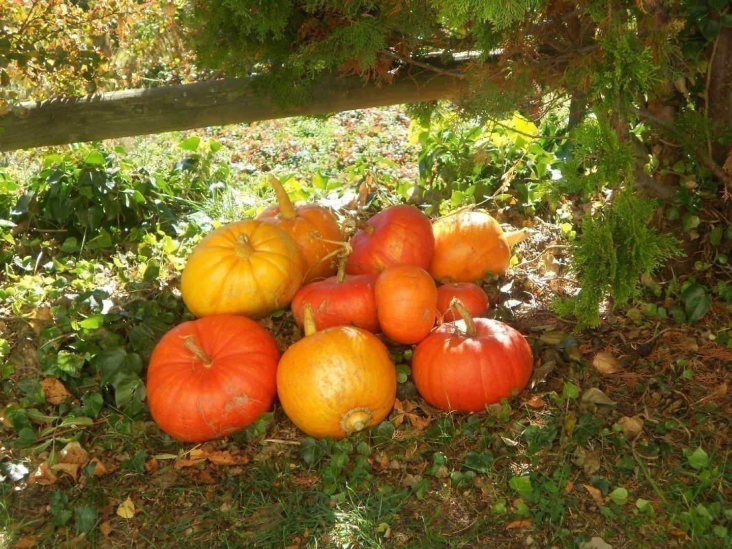 Les chambres du mas rondole_15-Gites de France