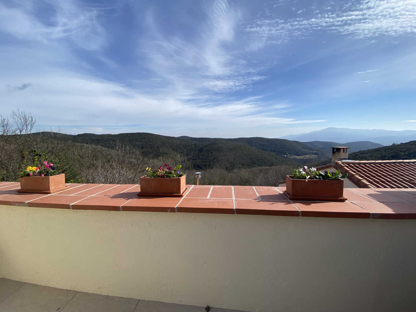 LA TERRASSE DES OISEAUX, Taillet - photo 32