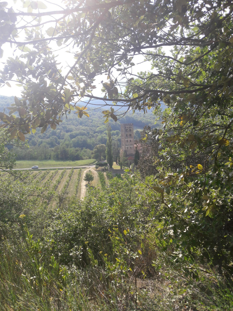 LES DEUX LIONS, Vernet-les-Bains - photo 106