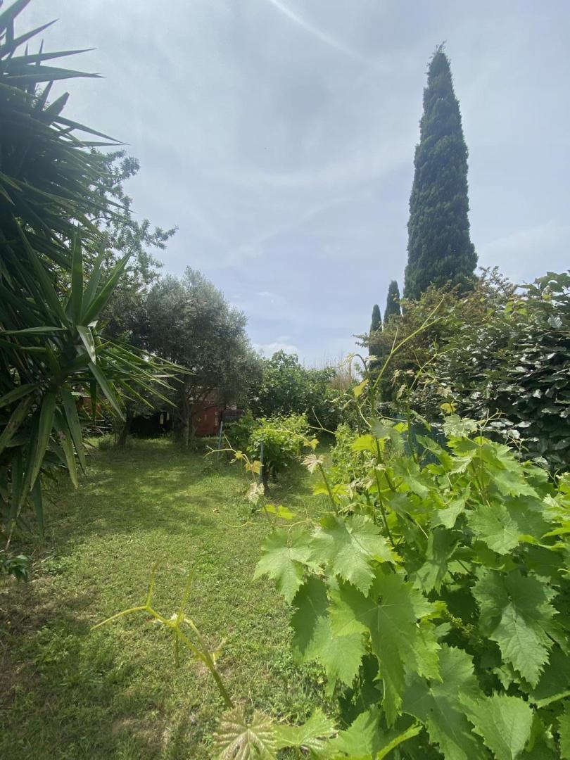EL RAPATELL, Villelongue-dels-Monts - photo 46