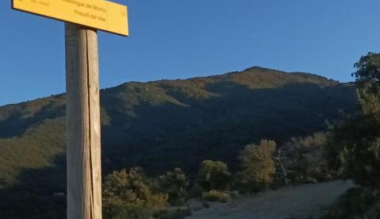 El Rapatell_20 El Rapatell_20