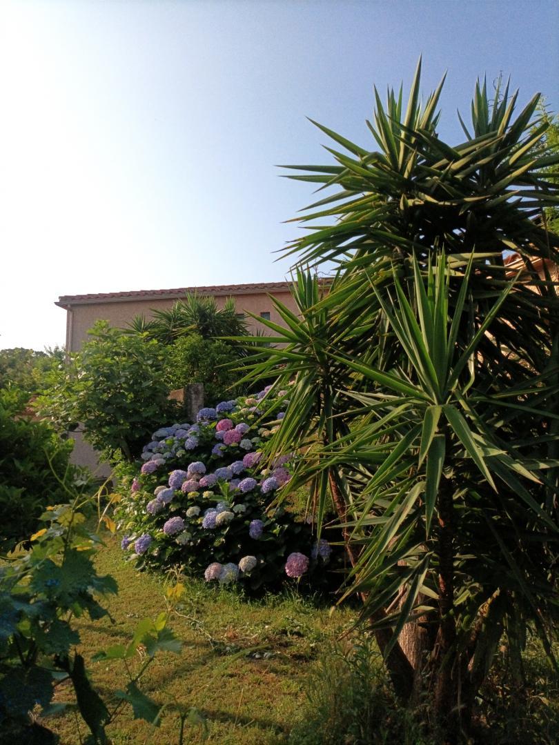 EL RAPATELL, Villelongue-dels-Monts - photo 56