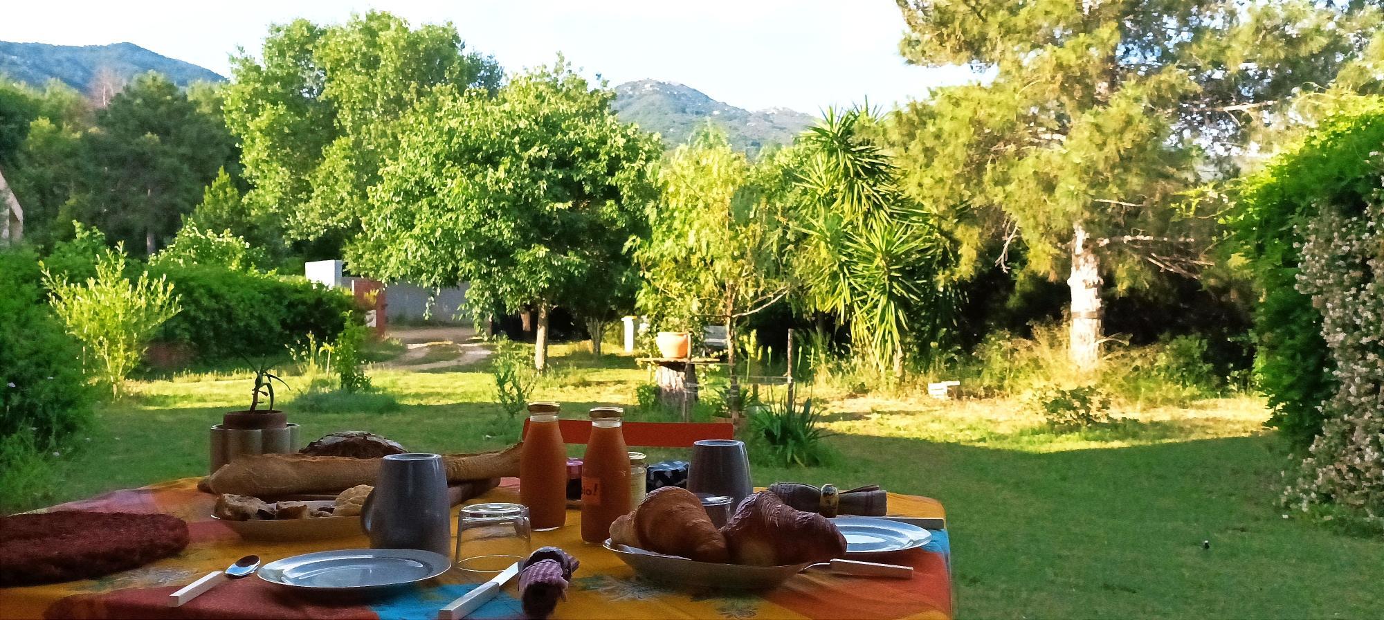EL RAPATELL, Villelongue-dels-Monts - photo 59