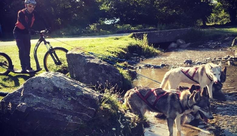 67830263-901416313524086-6478547643313653721-n 67830263-901416313524086-6478547643313653721-n