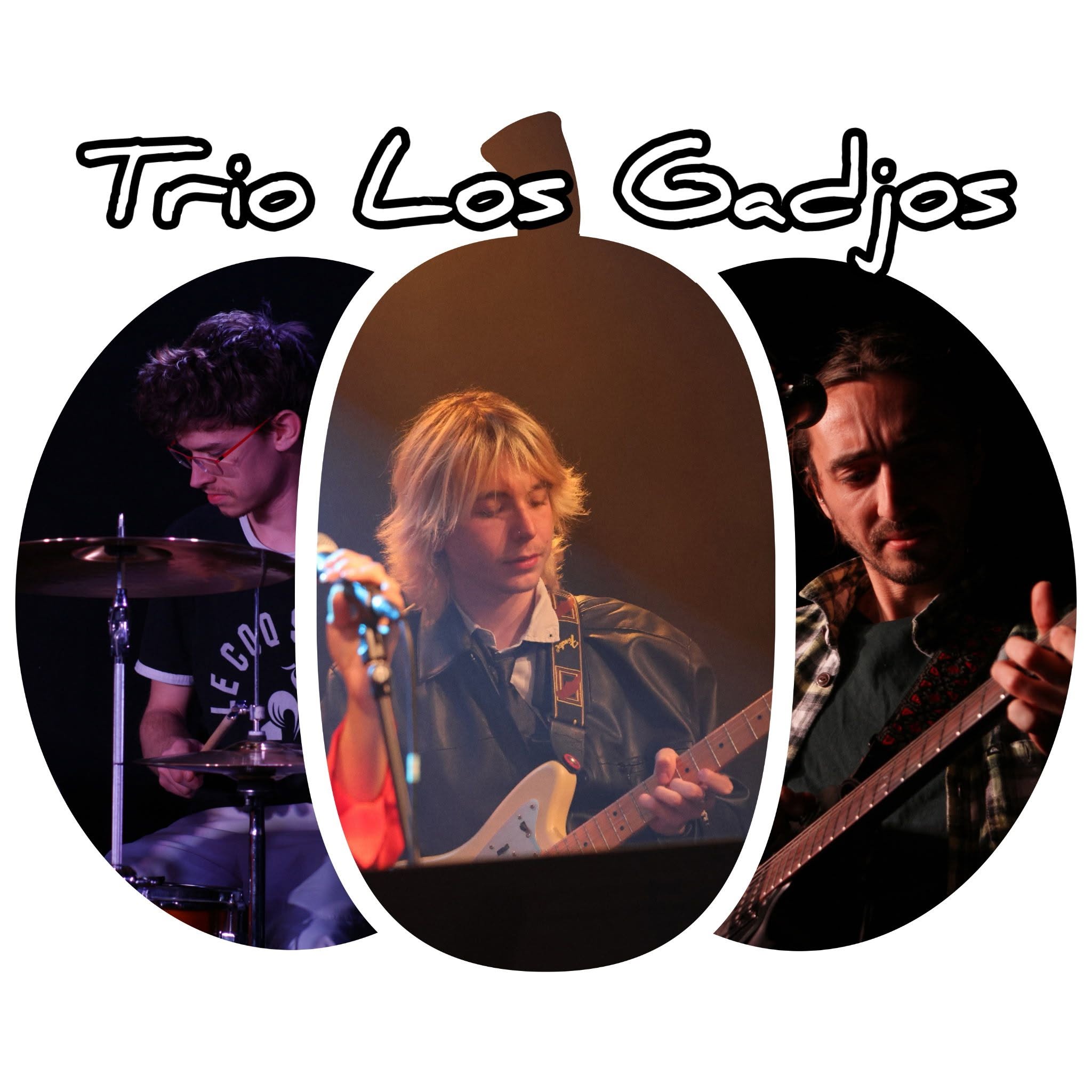 Concert trio los gadjos