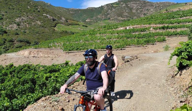 8-oenotourisme-VTT-electrique-collioure