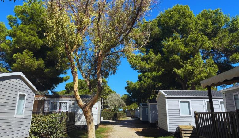 Sans titre (1600 x 1080 px) - 6