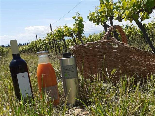 Visite et dégustation au domaine pagnon