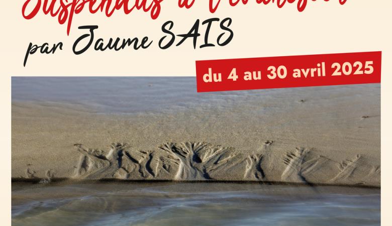 TORREILLES FMA VISUEL AUGUSTE GALERIE
