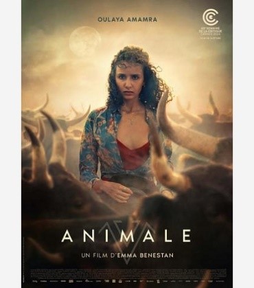 CINÉMA OSSÉJA – ANIMALE