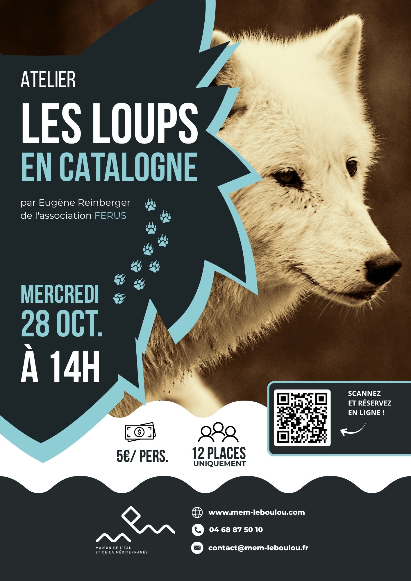 ATELIER SUR LES TRACES DES LOUPS 