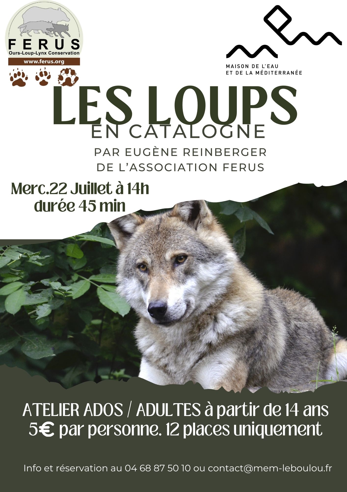 ATELIER LES LOUPS EN CATALOGNE