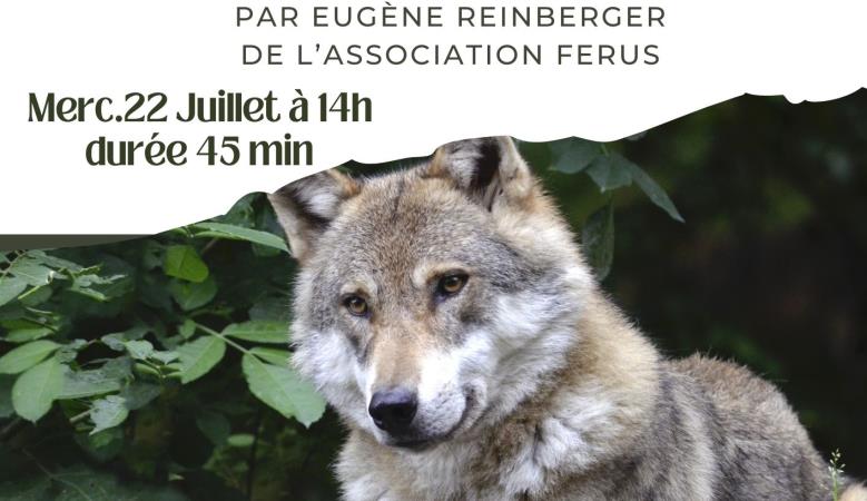 ATELIER LOUP MEM AVEC ASSO FERUS 22 JUILLET 26 - 1 ATELIER LOUP MEM AVEC ASSO FERUS 22 JUILLET 26 - 1