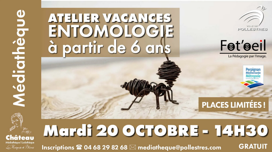 Atelier vacances entomologie