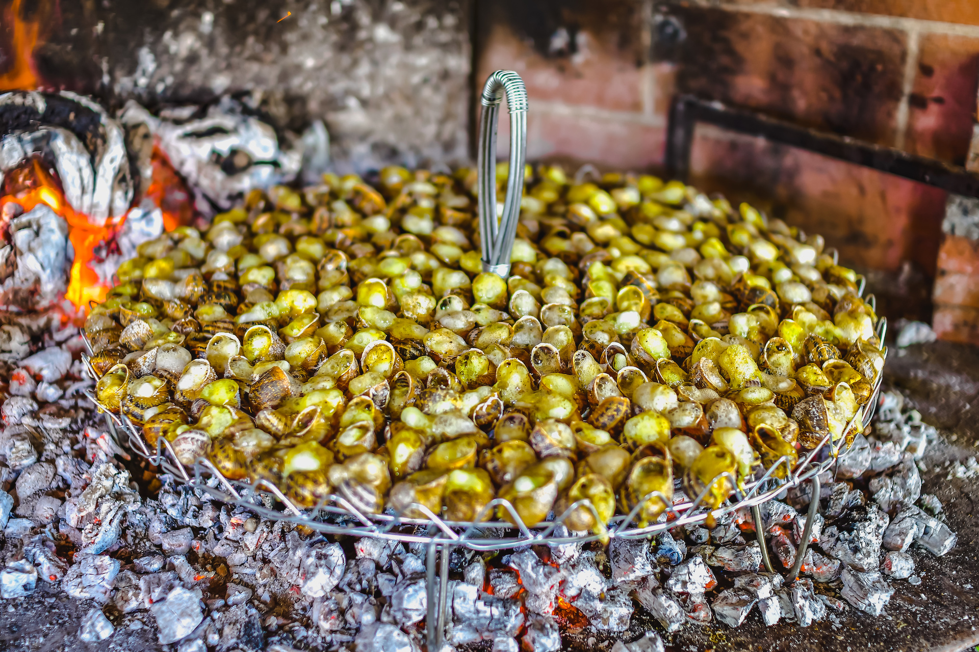 L’ESCARGOT CATALAN