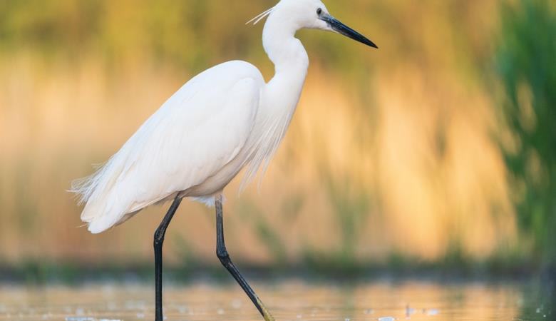 AdobeStock_543667223