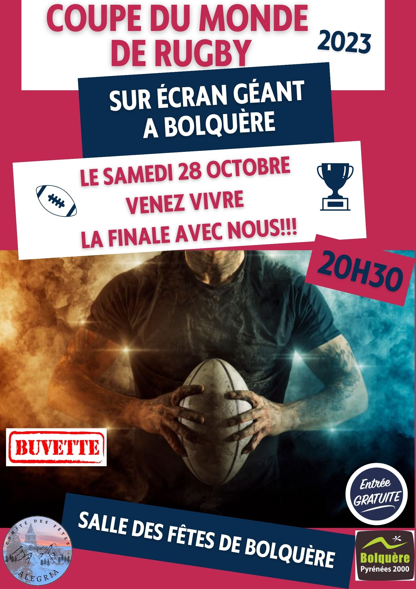 Affiche bleu blanc rouge match coupe du monde de rugby - 1-Bolquere