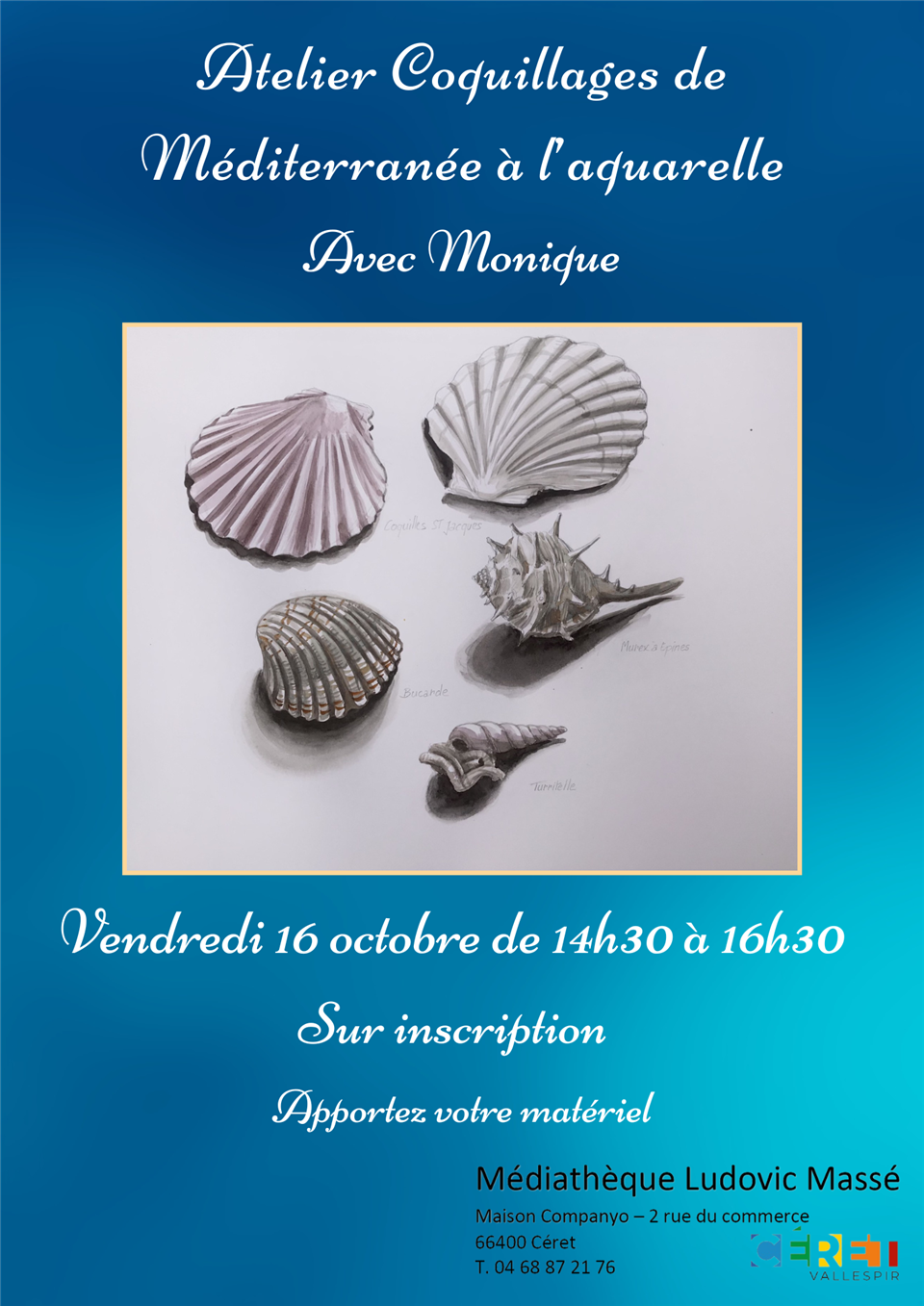 Atelier créatif "coquillages de méditerranée à l’aquarelle"