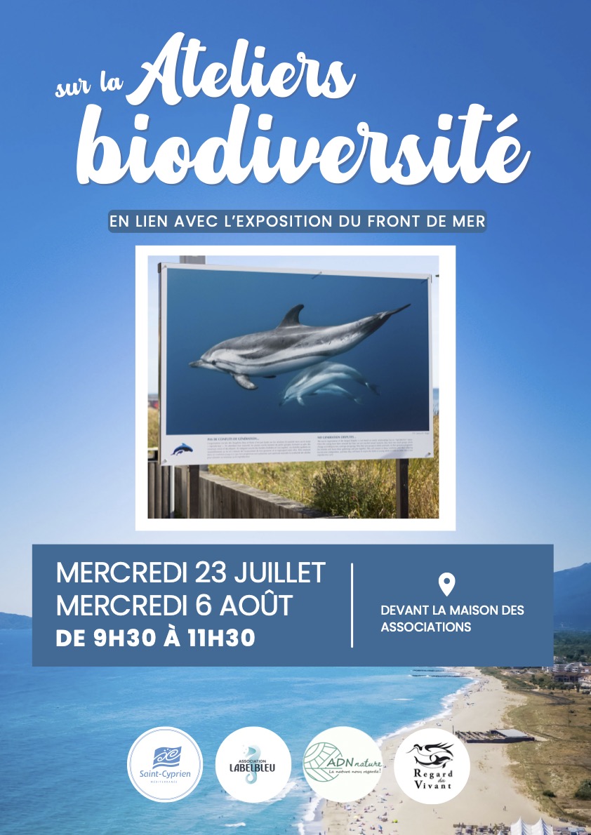 ATELIER AUTOUR DE LA BIODIVERSITÉ MARINE