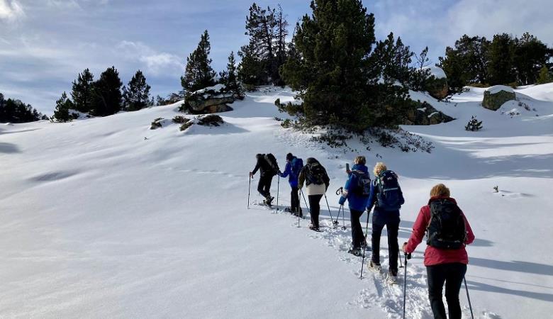 Arenas Ph (3) Arenas Ph (3)