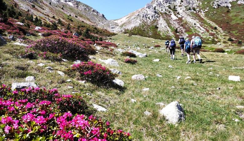 Arenas Ph (4) Arenas Ph (4)