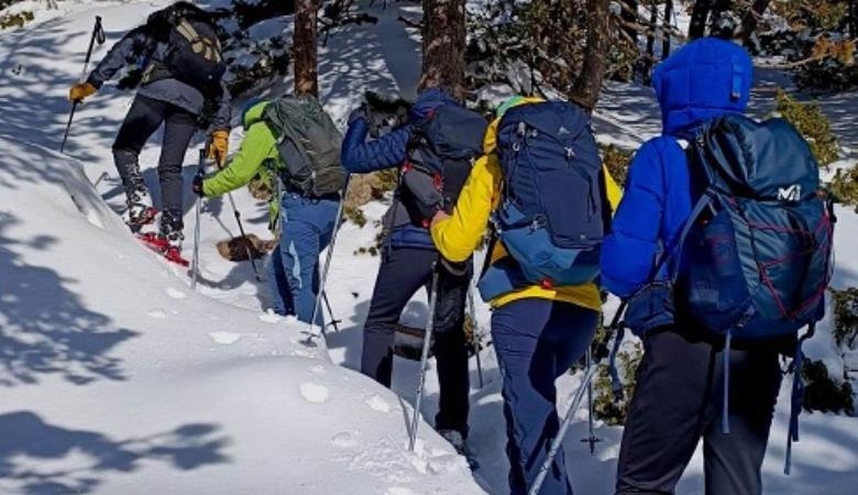 Arenas Ph (5) Arenas Ph (5)