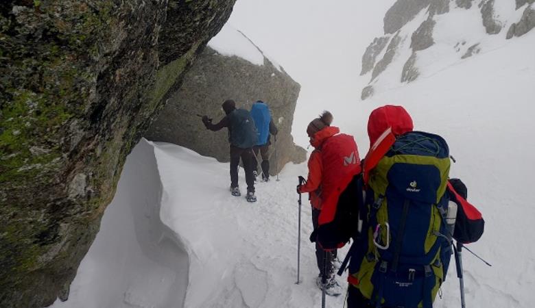 Arenas Ph (6) Arenas Ph (6)