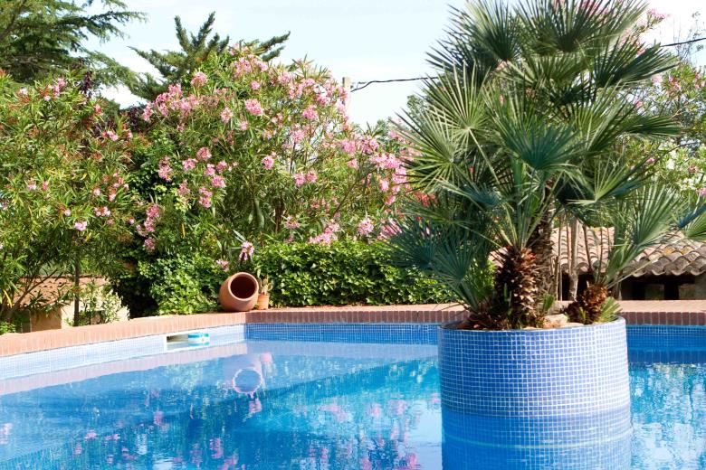 Aspres Thuir Casa 9 piscine