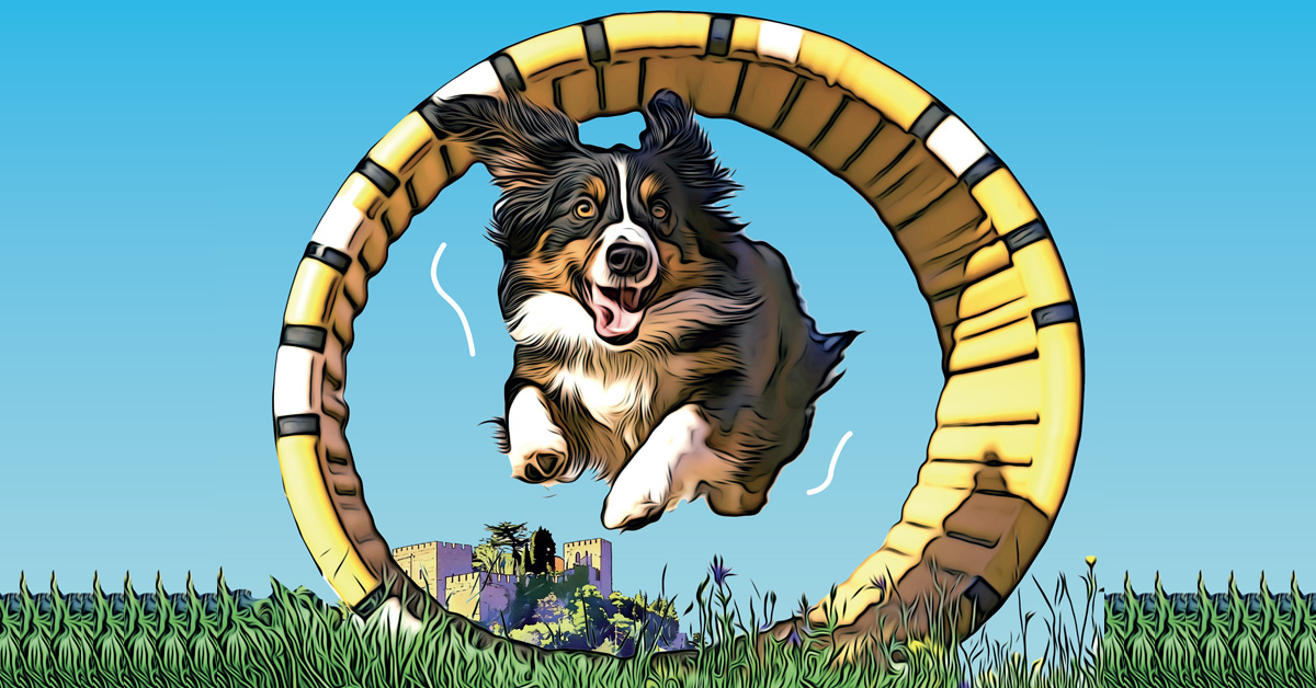 JOURNÉE DU CHIEN AU CHÂTEAU DE CASTELNOU