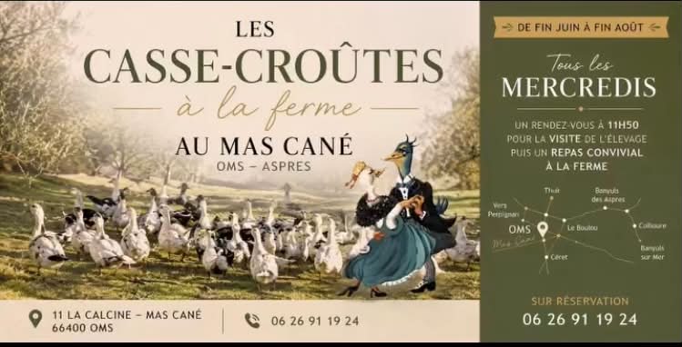 LES CASSE-CROÛTES À LA FERME AU MAS CANÉ