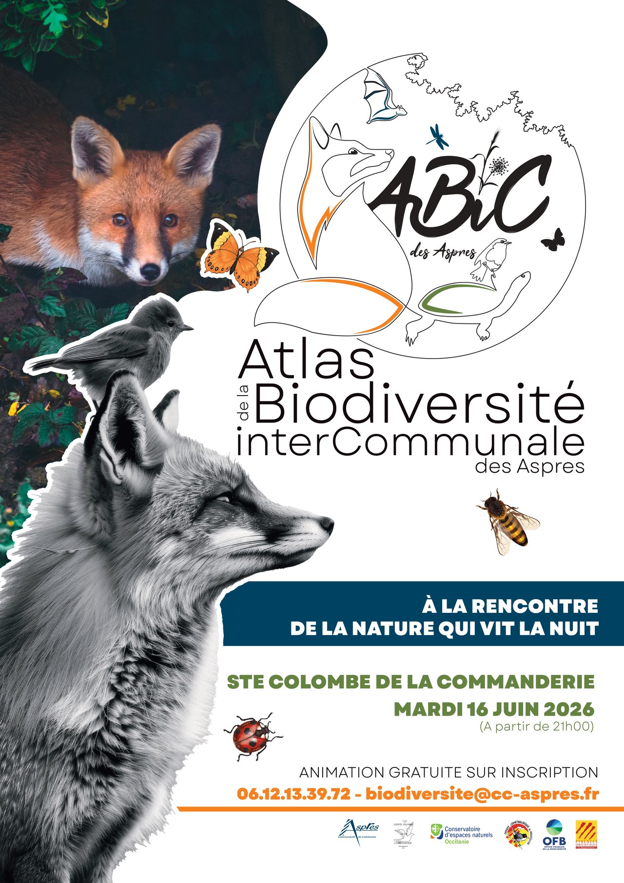 Atlas de la biodiversite communale -à la rencontre de la nature qui vit la nuit