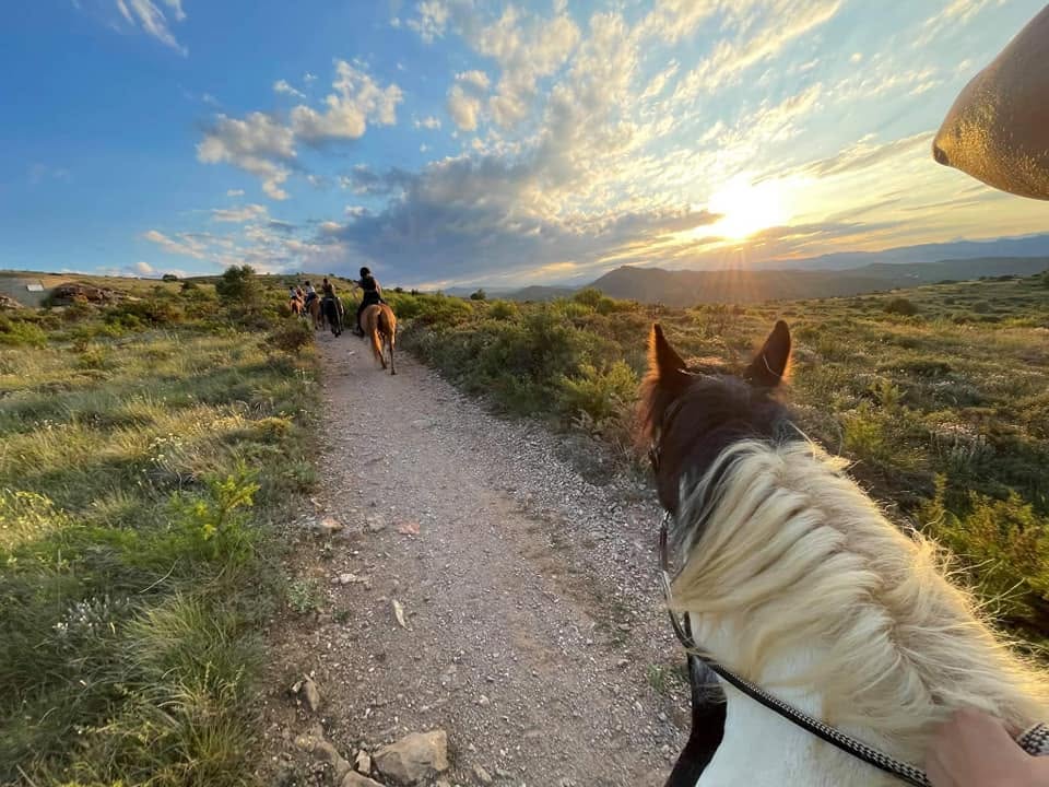 Travail du cheval d’extérieur