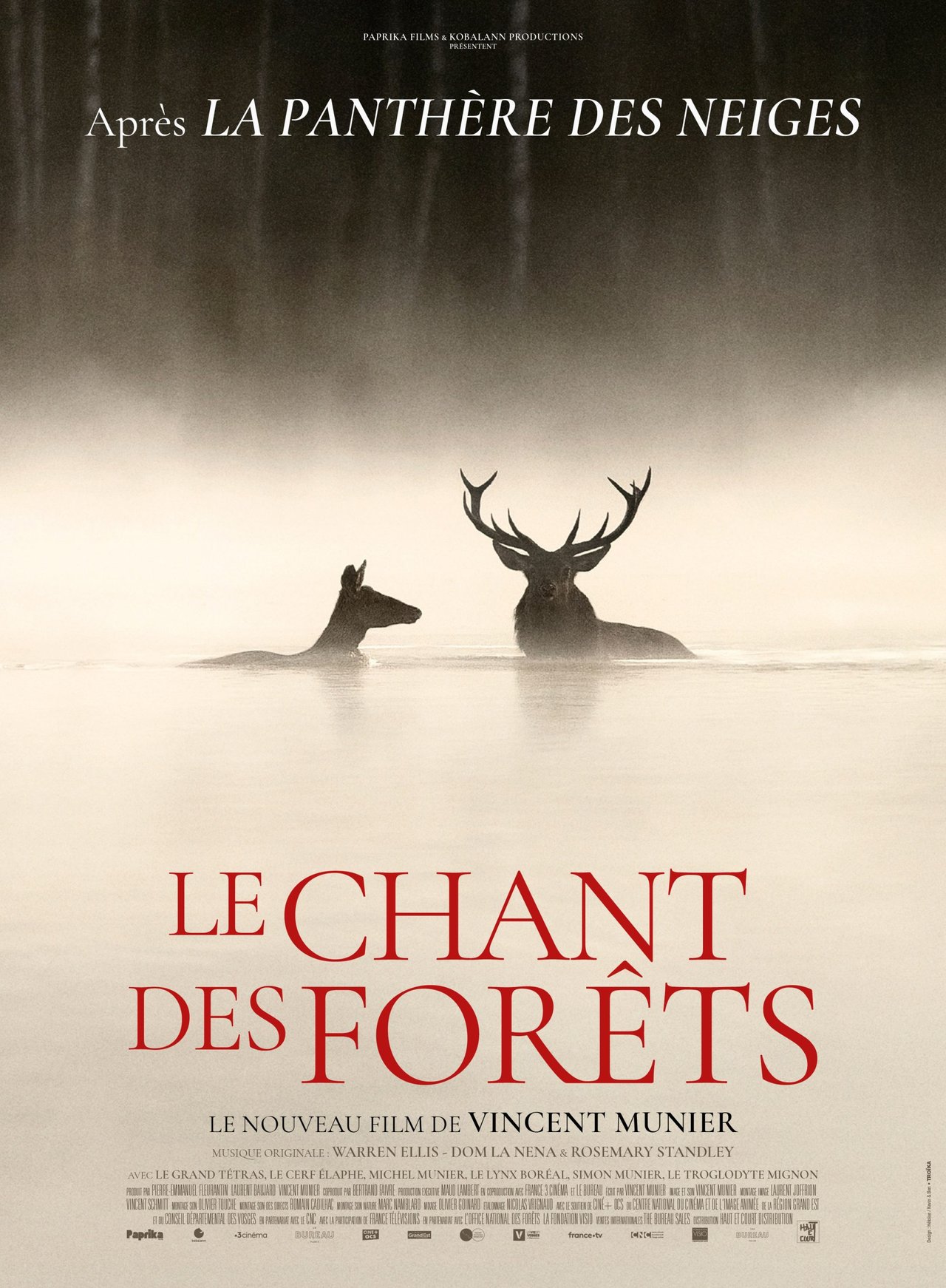 Cinéma "le chant des forêts"