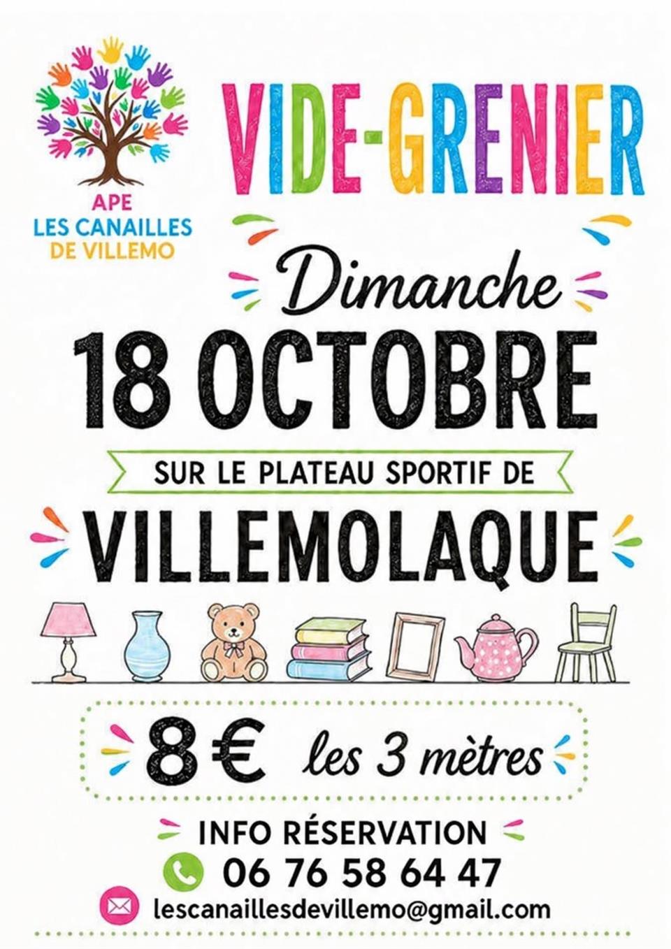 Vide grenier à Villemolaque