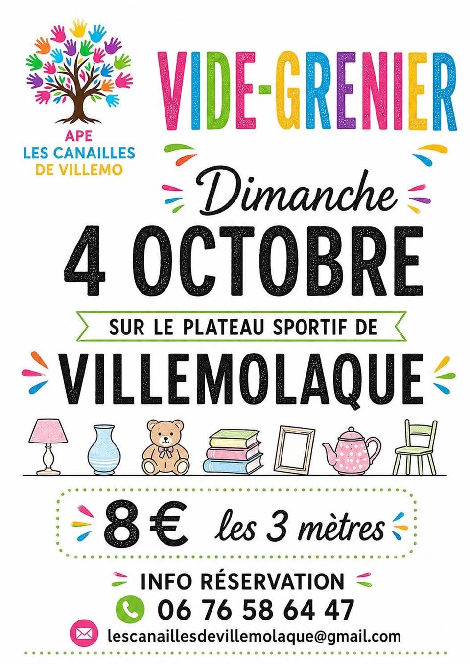 Vide grenier à Villemolaque