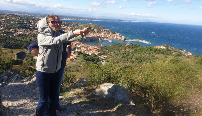 Balade-vinohrando-collioure