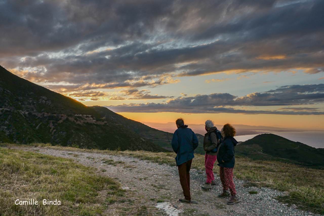 Balades naturalistes du jeudi