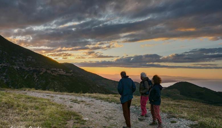 Balades-naturalistes-collioure