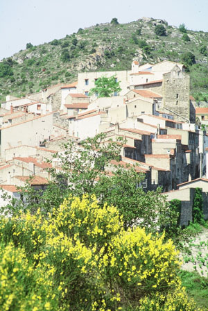 Bélesta - Village